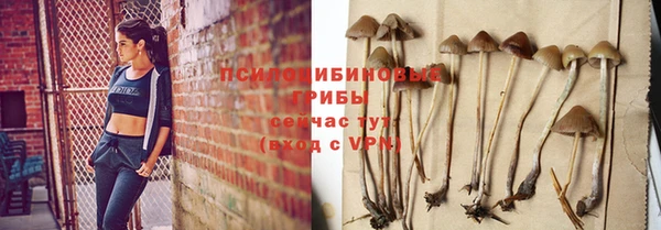мяу мяу кристалл Алексин
